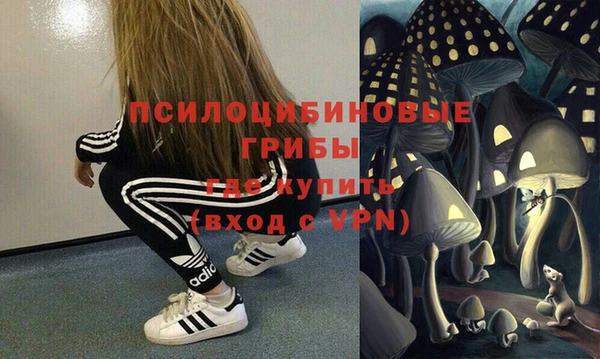 бошки Вяземский
