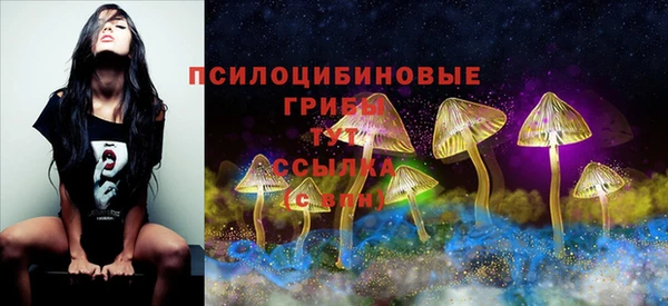 a pvp Струнино