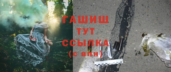 сатива Вязьма